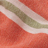 PASSEIO DE DROMEDÁRIOS