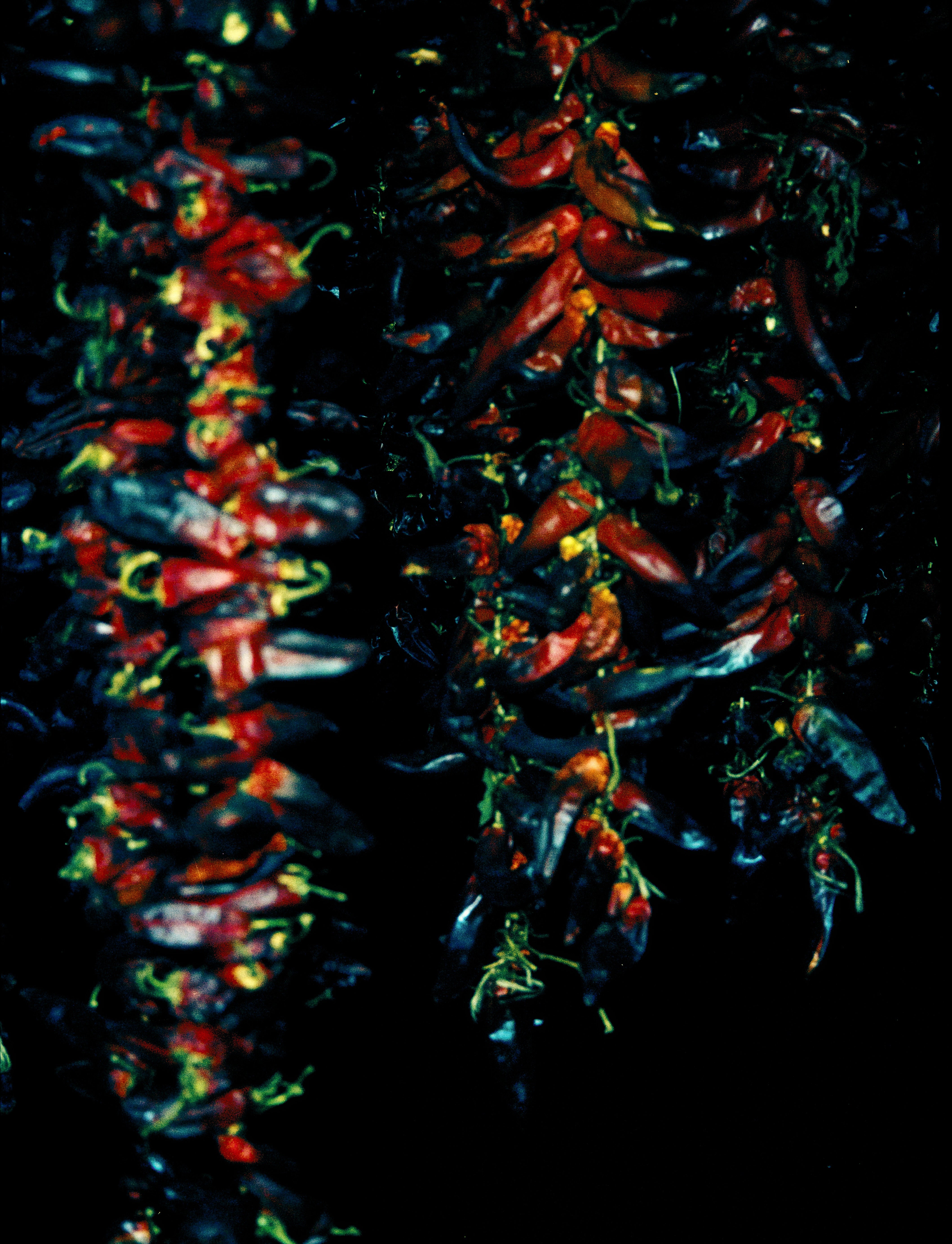 image_alt